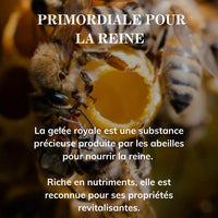 Honig und Gelée Royale