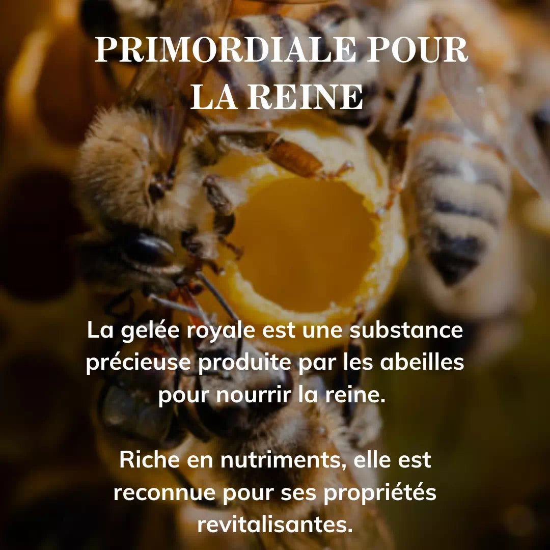 Honig und Gelée Royale